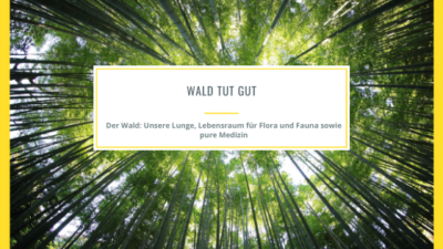 Wald-tut-gut_1280x1280